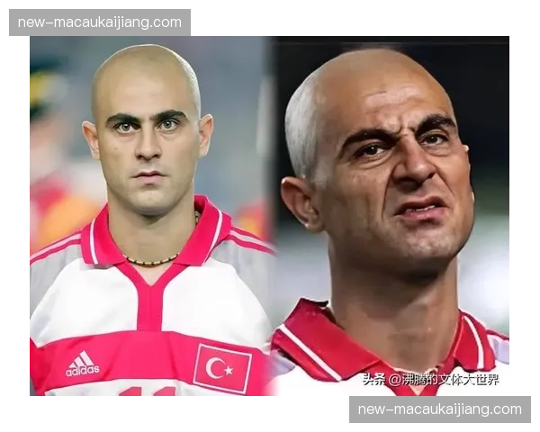 土耳其时隔24年重返世界杯 居莱尔领衔星月军团搅局D组